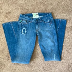 Grass Los Angeles Embroidered Flare Jeans, Size 27